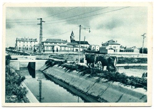 Cartolina ventennio - ventennio,