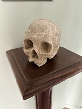 Teschio In Gesso Antico
