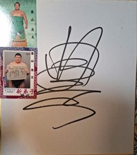 Toyoyama Sumo Insegna Carta