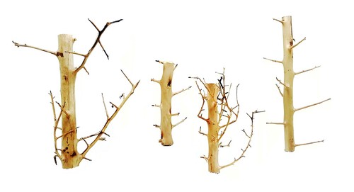Decorline long hands wood - long,