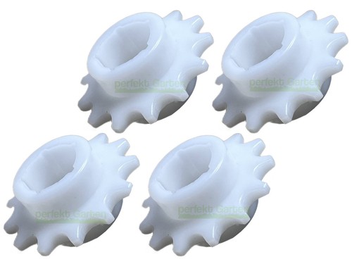 Pignone denti per - denti,
