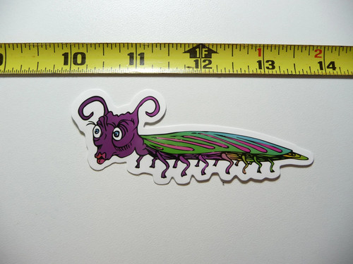 Colopendra millepiedi - colopendra,