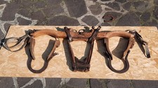 ANTICO GIOGO IN LEGNO Buoi