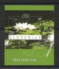 2007 - SLOVENIA - PIANTE ACQUATICHE  FOGLIETTO. - NUOVO - LOTTO/34358