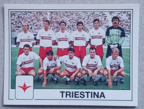 Figurina calciatori panini - figurina,