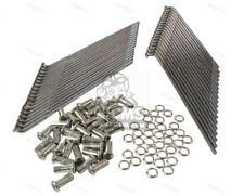 SERIE RAGGI POSTERIORI