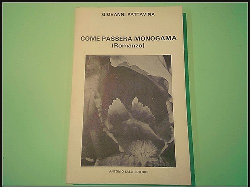 Come passera monogama - come,