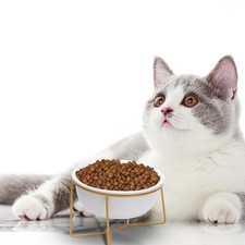  Ciotola Per Cani Ceramica