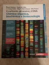 Carbonio gli enzimi - il, enzimi,
