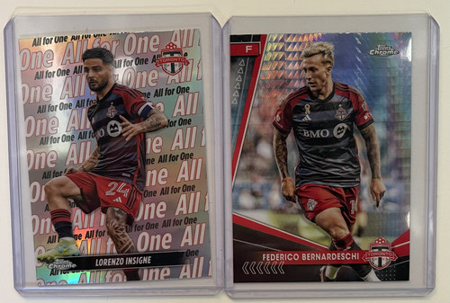 Toronto insigne and - toronto,