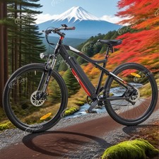 Bicicletta elettrica 29