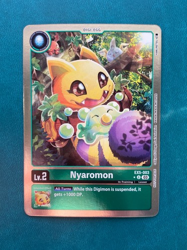 Nyaromon ex5 003 - nyaromon, box