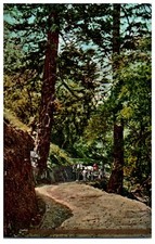 Autostrada Attraverso La