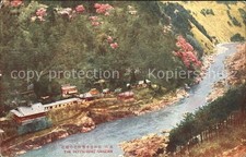 Giappone La Primavera Ranzan