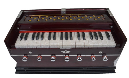Dispositivo musicale indiano