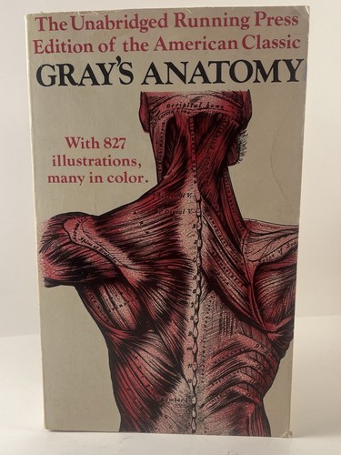 Gray anatomy running - gray's,