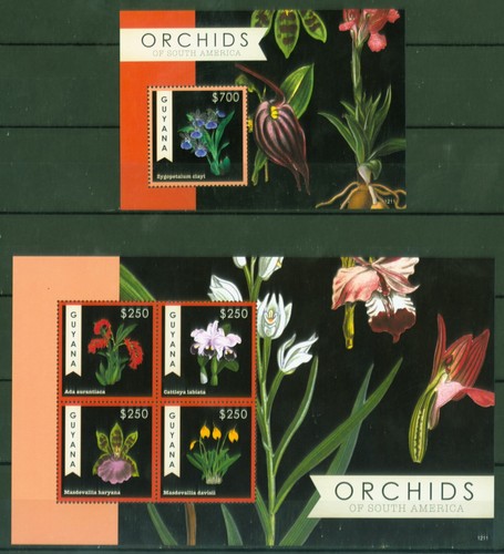 Guyana 2012 orchidee fiori - 2012,