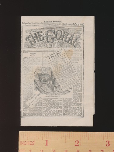 Antico 1883 corallo - antico,