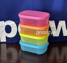 Tupperware Mini Freezer Mates