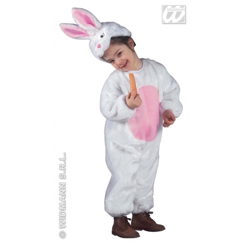 Carnevale costume vestito - carnevale,