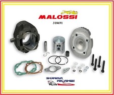 318691 GRUPPO TERMICO CILINDRO