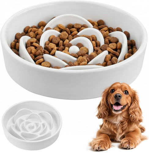 Ciotola per cani ceramica - ciotola,
