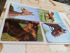 Cartoline Con Cavallo Viaggiate Anni 60 4 Pz