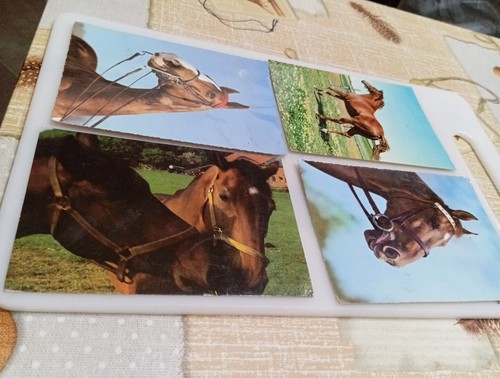 Cartoline con cavallo - con,