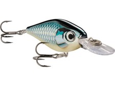 NUOVO 2025 Rapala X-Light Shad