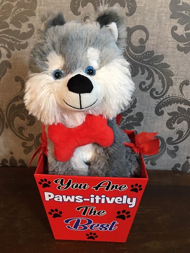 Peluche cane san - san, valentino