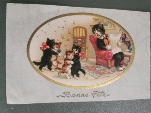 Gatti umanizzati cartolina - umanizzati,