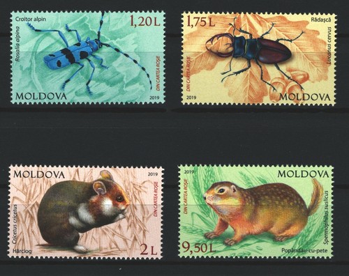 Moldavia 2019 animali della - 2019,