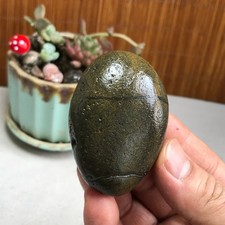 Bonsai Naturale 99g Suiseki