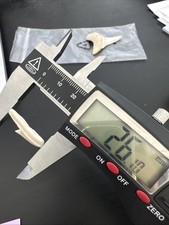 Rarissimo dente di squalo