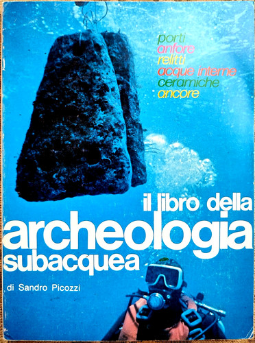 Sandro picozzi libro della - il,