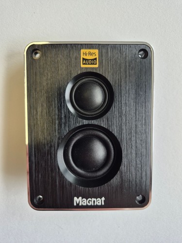 Modulo audio unità - , magnat