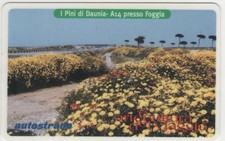 VIACARD GOLDEN 589 NUM PICCOLO