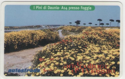 Viacard golden 589 - viacard, piccolo