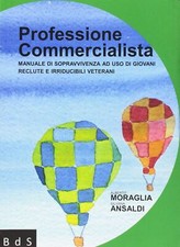 Professione commercialista