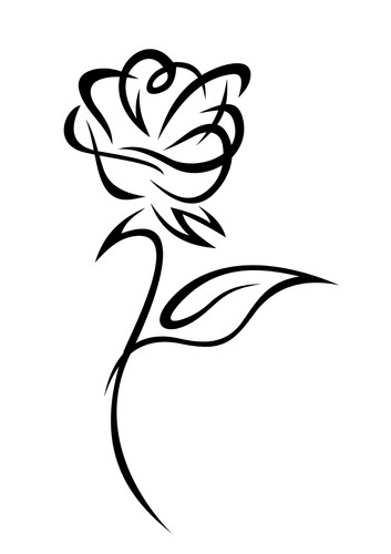 Adesivi auto sticker - 4,