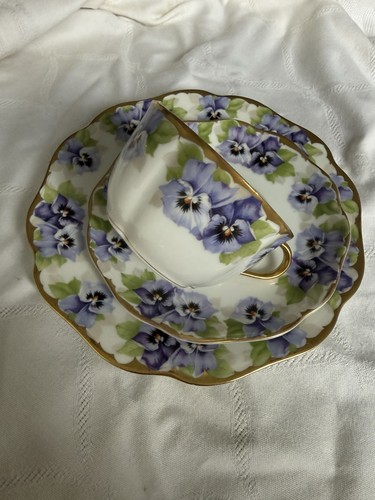 Rosenthal crisantemo vittoria - crisantemo,