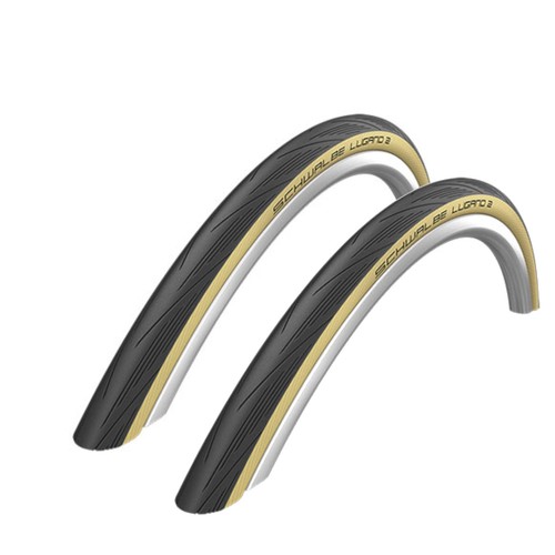 Coppia pneumatici bici 700c