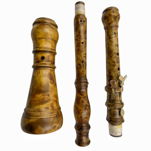Oboe professionale stile