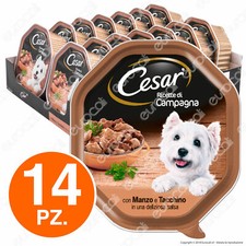 Cesar Ricette di Campagna Cibo