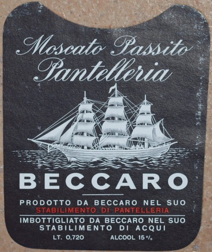 Etichetta vino wine - etichetta,