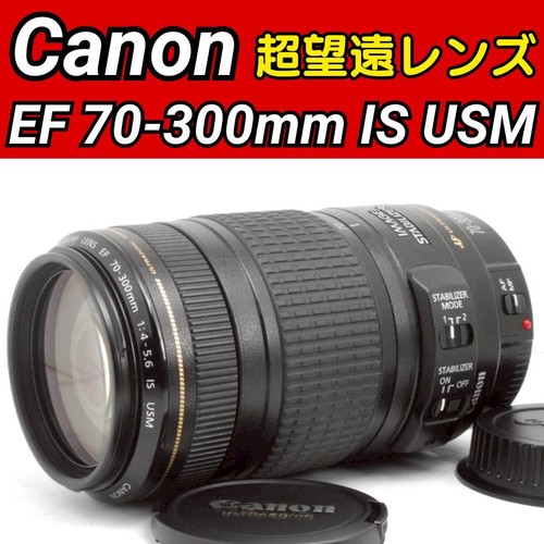 Canon 300 5 6 - mm, is