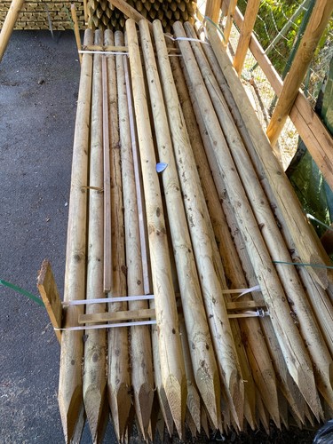 Pali legno pino palo - in, di