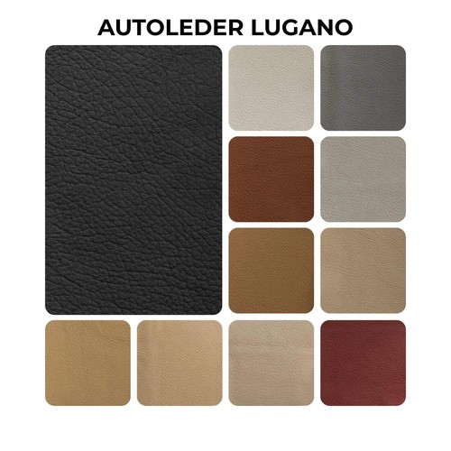 Pelle per auto lugano - lugano, |