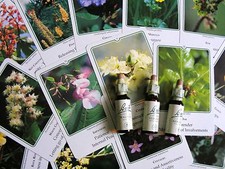 FIORI di BACH e/o AUSTRALIANI preparazione 50ml