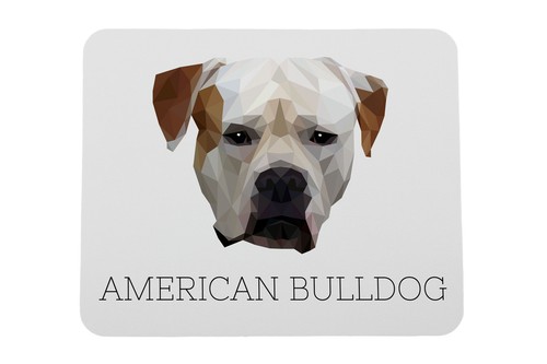 Bulldog americano